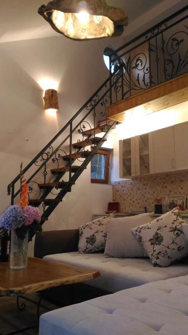 Апартаменты Apartment Mond Вирпазар-22